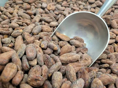 Какао бобы INDIA GO GROUND 250 г | Аль Натураль