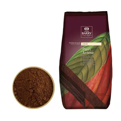 Купить Какао-порошок алкализованный Cacao Barry Plein Arome (Какао Барри  Плейн Арома) 200г. • в Екатеринбурге
