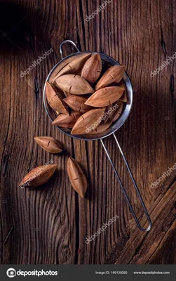 Скачать картинки Водяной орех, стоковые фото Водяной орех в хорошем  качестве | Depositphotos