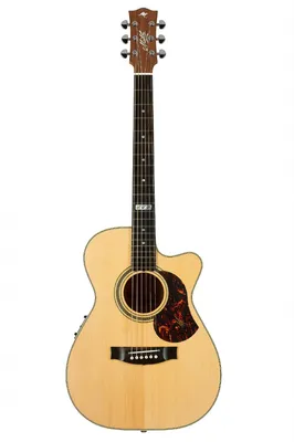 Maton EBG808C-TE электроакустическая гитара купить Москва и Московская  область интернет-магазин topmuz.ru