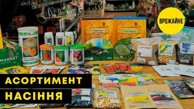 Тыква \"Квинслендская Голубая\" ТМ \"Флора Маркет\" 1г купить почтой в Одессе,  Киеве, Украине | Agro-Market