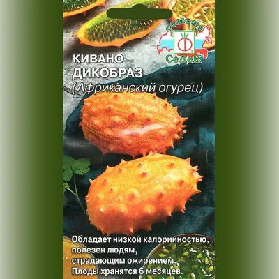 ВЫРАЩИВАЮ ИХ ДОМА : Выращиваем Рогатую Дыню (Horned Melon, Kiwano) на  подоконнике.