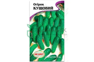 Огурец Кустовой 1г : Нк Елит - семена купить в Киеве, Украине фото, отзывы,  описание - Дачник