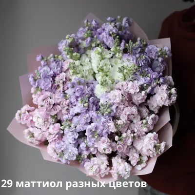 Букет из кустовой маттиолы - заказать доставку цветов в Москве от Leto  Flowers