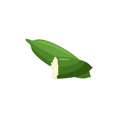 Плоская планировка свежих фруктов амлы (индийский крыжовник) с листьями,  изолированными на белой поверхности | Премиум Фото