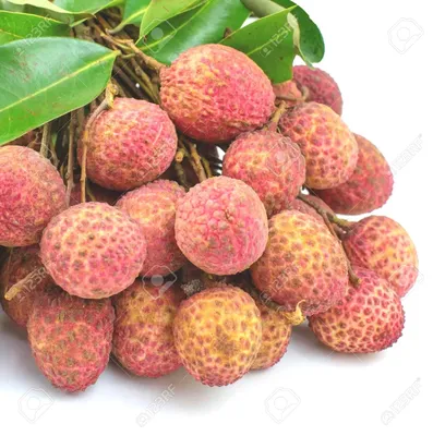 Lichi