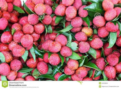 Premium Photo | Litchi, lichee, lychee, or lichi, fresh lychess fruit on  pink bamboo background