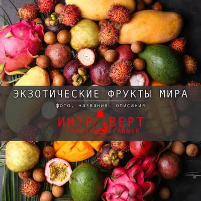 Mabolo. Искусство результативного маркетинга