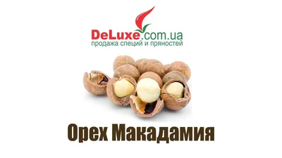 Коллекции растений ЦСБС СО РАН - Hakea suaveolens R.Br. – Хакея ароматная  (по новым данным Hakea drupacea (C.F.Gaertn.) Roem. \u0026 Schult.)