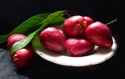 Малайское яблоко фото