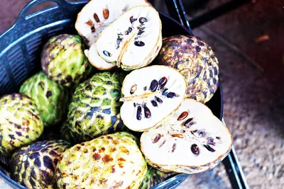 20 экзотических фруктов, о которых мы ничего не знали