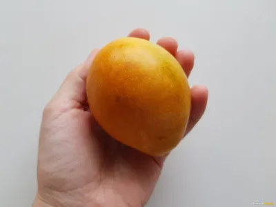 Отзыв про Манго \"Сахарное\" (Шугар): \"Очень маленькое манго! Размером с  нектарин, а благоухает не меньше крупных\" | Дата отзыва: 2020-05-17 16:23:27