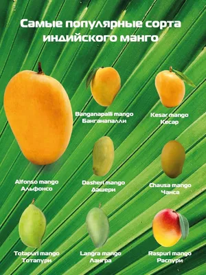 Десерт замороженный из манго Индийское манго 70г купить в интернет магазине  КуулКлевер МясновЪ онлайн с доставкой или самовывозом в Москве и в Нижнем  Новгороде.