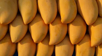 Фрукты Манго - «Как едят манго? | Как выбрать спелый манго? | Польза манго  | Моя любимая подача этого фрукта. » | отзывы