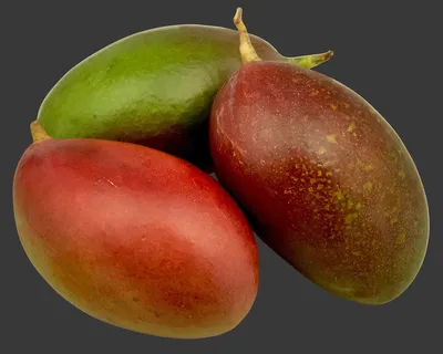 манго PNG , манго PNG здесь, Фрукты, манго PNG PNG картинки и пнг PSD  рисунок для бесплатной загрузки
