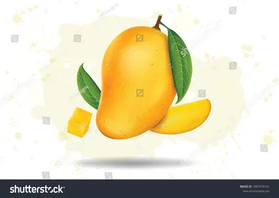 На Кипре подходит к концу сезон \"короля фруктов\" - манго - Новости Кипра