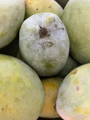 Фото Mango Fruit, более 48 000 качественных бесплатных стоковых фото