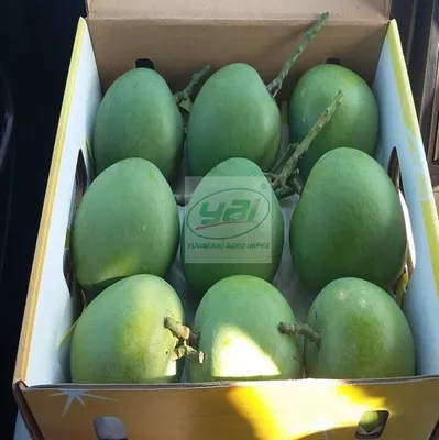 Купить Манго Китай в Минске - Экзотические фрукты в коробках