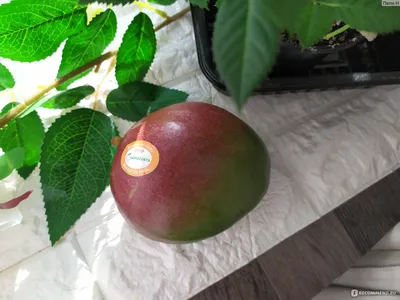 Молочное мороженое Индийское манго купить с доставкой на дом по цене 345  рублей в интернет-магазине