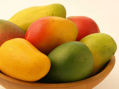Индийское самое лучшее манго плодоовощ Редакционное Изображение -  изображение насчитывающей бенина, манго: 122044100