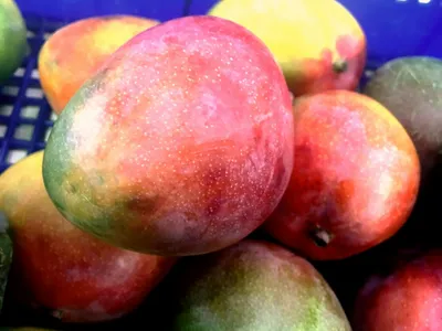 В Израиле резко подорожали фрукты прямо перед праздниками: в чем причина