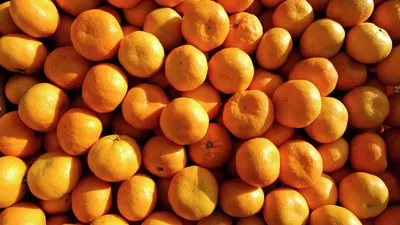 Диетолог рассказала, сколько мандаринов можно съедать в день - РИА Новости  Спорт, 24.12.2021