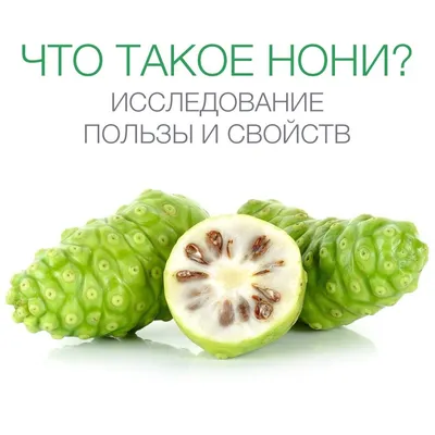 Что такое нони? Исследование пользы и свойств