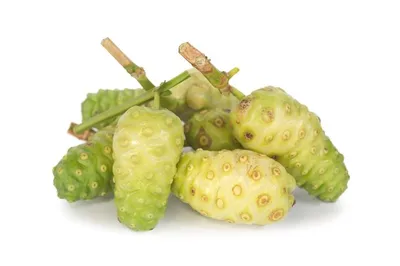 Файл:Morinda citrifolia, Fruit.jpg — Википедия