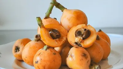 Плоды Мушмулы Мушмула Widl Fruit - Бесплатное фото на Pixabay