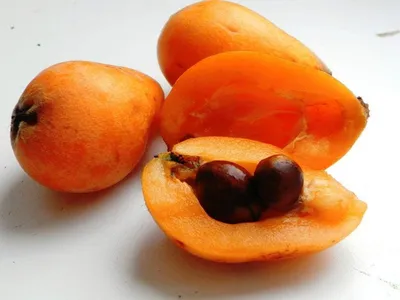 Зрелый плод мушмулы или японская слива Стоковое Изображение - изображение  насчитывающей coñ‡ð½o, ð°: 137251931