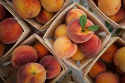Как правильно выбрать вкусный и сладкий персик » BigPicture.ru