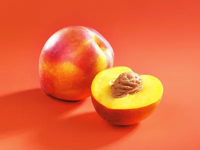 Как вырастить персик или нектарин из косточки и будет ли урожай - Дачная  помощь