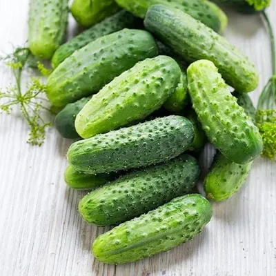 Огурцы Гавриш mirkopel gavrish cucumber - купить по выгодным ценам в  интернет-магазине OZON
