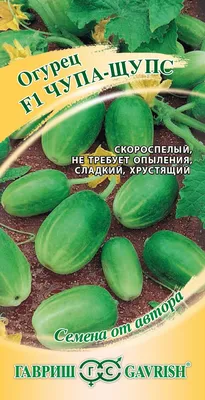 Огурец Чонгшенг Болезнеустойчивый *Солнечный Март* - Семена купить в Киеве,  Украине с доставкой почтой - Дачник