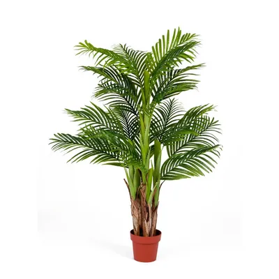 Пальма Арека Катеху Sensitive Botanic, 5 стволов, 18 листьев, 140 см -  10.071409 Treez - купить в интернет-магазине - Superposuda.ru по лучшей цене