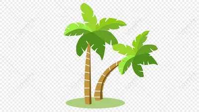 Кокосовая пальма 3D модель - Растения на Hum3D