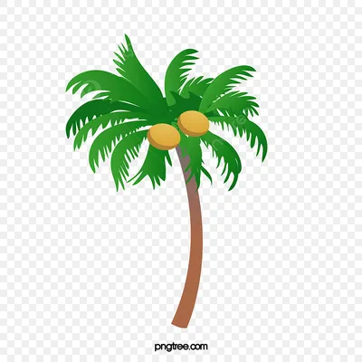 кокосовая пальма вектор мультфильм элементы | Графические элементы AI  Бесплатная загрузка - Pikbest