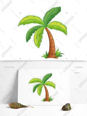 Настоящие кокосовые пальмы — одни из самых капризных — Mariupol Pitomnik  \"AZOV\"