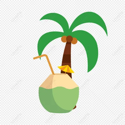 кокосовые пальмы, кокос, кокосовая пальма, количество дерева png | PNGWing