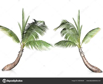 Картина на холсте \"Пальма, кокосовая пальма, кокос\" 120x90 см. с  алюминиевым подвесом, в тубусе — купить в интернет-магазине по низкой цене  на Яндекс Маркете