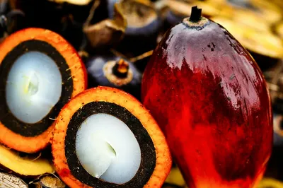 Масличная пальма, джамболан, атемойя, ши: самые удивительные фрукты со  всего мира