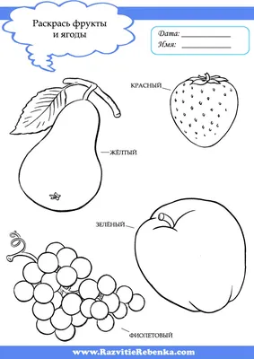РАЗВИТИЕ РЕБЕНКА: Фрукты и ягоды. Изучаем и раскрашиваем.