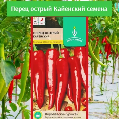 Съедобные (овощные, фруктовые и пр.) - Перец кайенский (Capsicum  frutescens) - Spikальбом