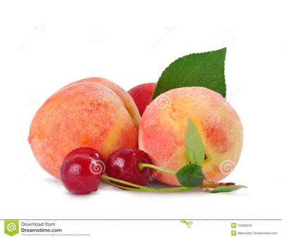 персик вишни стоковое изображение. изображение насчитывающей над - 15999245