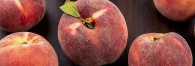 Чем отличаются персики и нектарины — Шуба