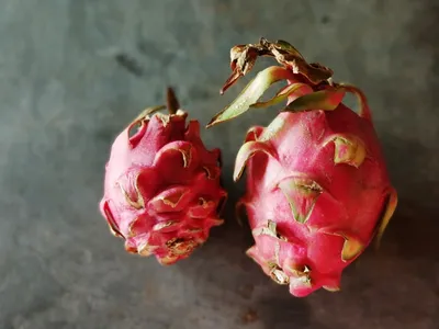 Питахайя (Драконовый фрукт) Как отличить Белый от Розового? | Визуал для  инстаграм | Дзен