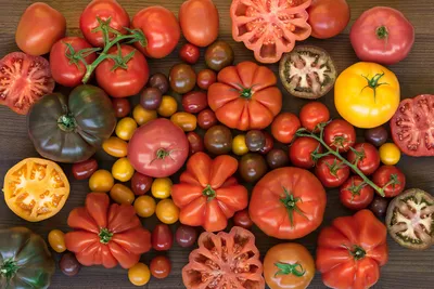 16 самых вкусных помидоров в мире | AGRONOMU | Дзен