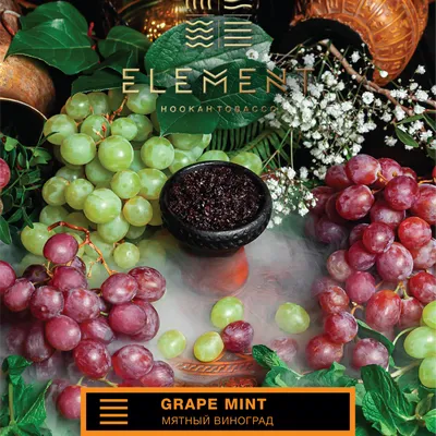 Табак Element Земля - Grape Mint (Виноград Мята) 25 гр купить в СПБ, цена  225 р. - интернет-магазин PiterSmoke