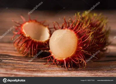 Плодоовощ Blume Nephelium Pulasan Mutabile тропический экзотический  Стоковое Изображение - изображение насчитывающей экзотическо, плодоовощ:  89435001