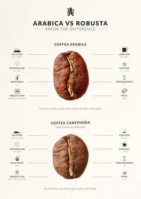 Arabica versus Robusta - PIO Gastro Bar \u0026 Bistro | Latin Street Foods